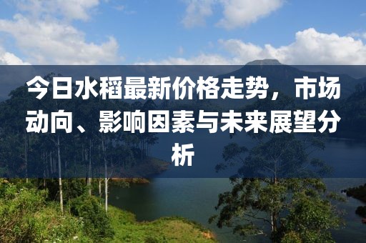 今日水稻最新价格走势，市场动向、影响因素与未来展望分析