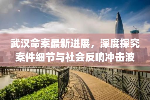 武汉命案最新进展，深度探究案件细节与社会反响冲击波