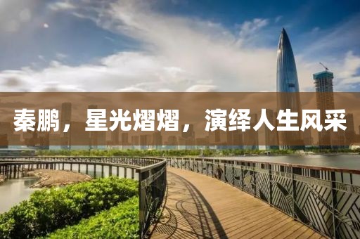 秦鹏，星光熠熠，演绎人生风采