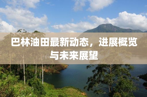 巴林油田最新动态，进展概览与未来展望