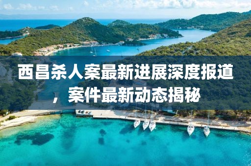 西昌杀人案最新进展深度报道，案件最新动态揭秘