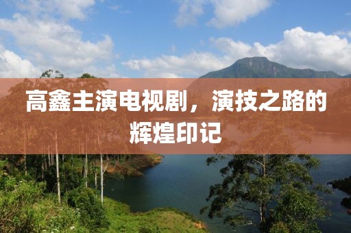 高鑫主演电视剧，演技之路的辉煌印记