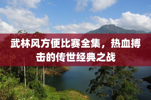 武林风方便比赛全集，热血搏击的传世经典之战