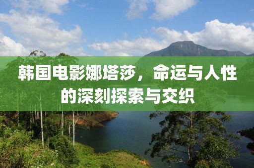 韩国电影娜塔莎，命运与人性的深刻探索与交织