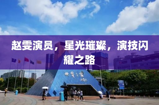 赵雯演员，星光璀璨，演技闪耀之路