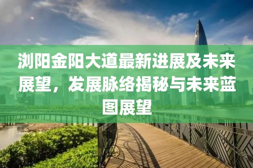 浏阳金阳大道最新进展及未来展望，发展脉络揭秘与未来蓝图展望