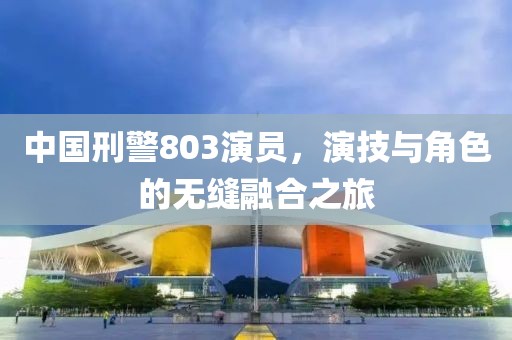 中国刑警803演员，演技与角色的无缝融合之旅