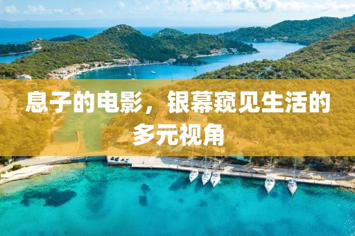 息子的电影，银幕窥见生活的多元视角