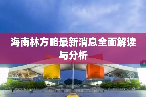 海南林方略最新消息全面解读与分析