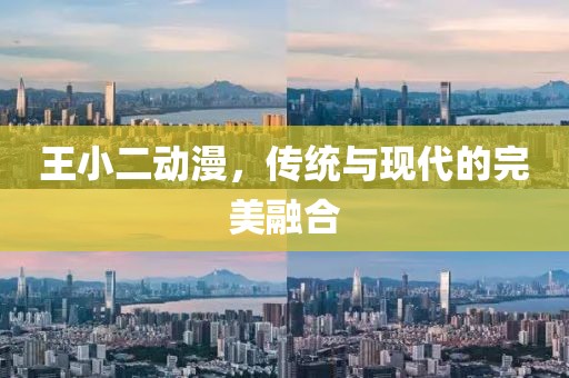 王小二动漫，传统与现代的完美融合