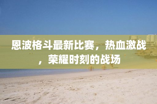 恩波格斗最新比赛，热血激战，荣耀时刻的战场