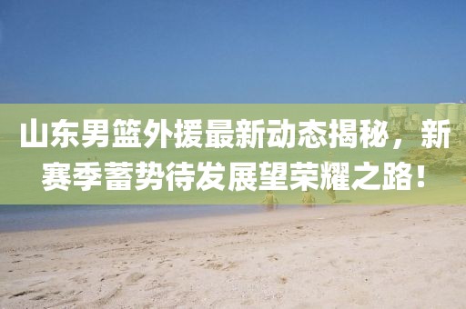 山东男篮外援最新动态揭秘，新赛季蓄势待发展望荣耀之路！