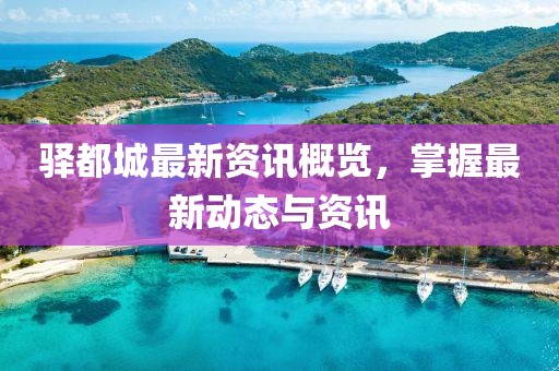 驿都城最新资讯概览，掌握最新动态与资讯