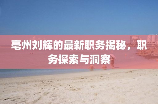 亳州刘辉的最新职务揭秘，职务探索与洞察