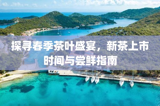 探寻春季茶叶盛宴，新茶上市时间与尝鲜指南