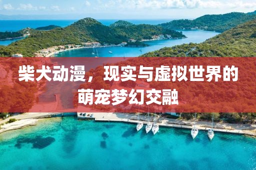 柴犬动漫，现实与虚拟世界的萌宠梦幻交融