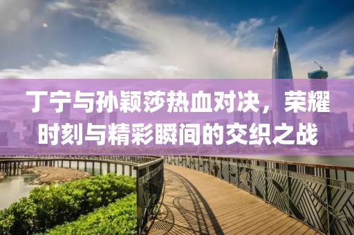丁宁与孙颖莎热血对决，荣耀时刻与精彩瞬间的交织之战