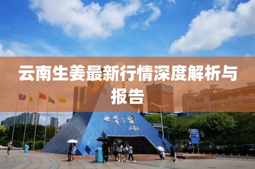云南生姜最新行情深度解析与报告