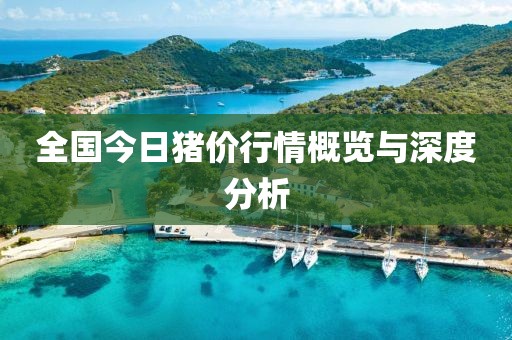 全国今日猪价行情概览与深度分析