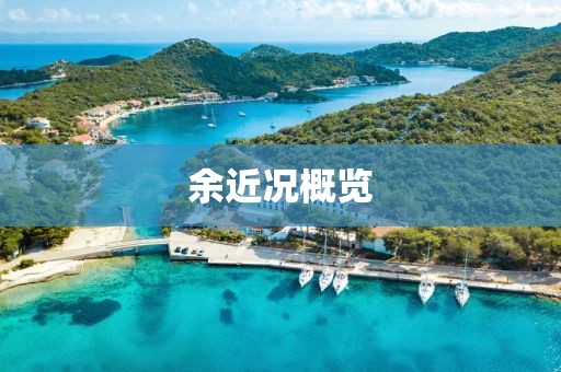 余近况概览