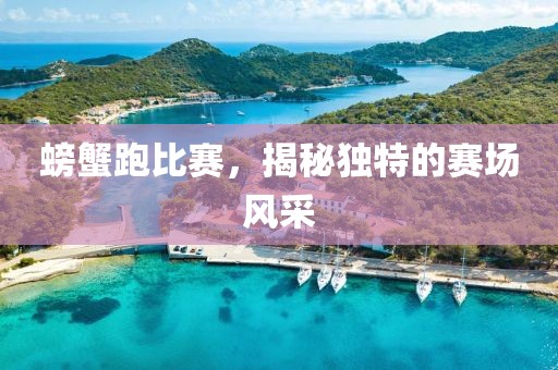 螃蟹跑比赛，揭秘独特的赛场风采