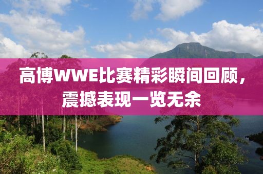 高博WWE比赛精彩瞬间回顾，震撼表现一览无余