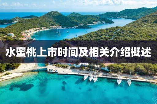 水蜜桃上市时间及相关介绍概述
