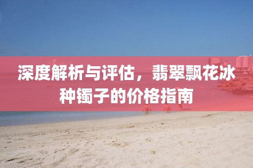 深度解析与评估，翡翠飘花冰种镯子的价格指南
