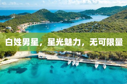 白姓男星，星光魅力，无可限量