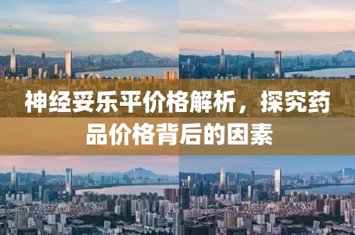 神经妥乐平价格解析，探究药品价格背后的因素
