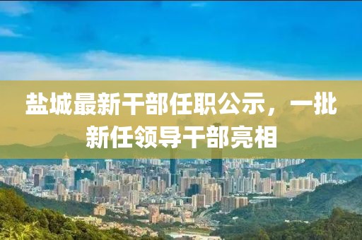 第2230页