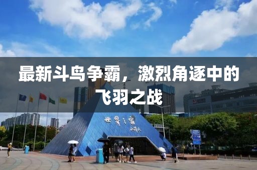 最新斗鸟争霸，激烈角逐中的飞羽之战