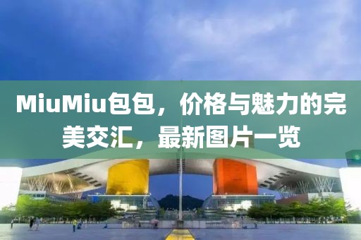MiuMiu包包，价格与魅力的完美交汇，最新图片一览