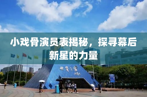 小戏骨演员表揭秘，探寻幕后新星的力量