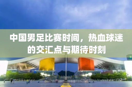 中国男足比赛时间，热血球迷的交汇点与期待时刻