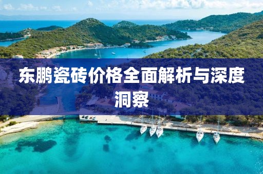 东鹏瓷砖价格全面解析与深度洞察