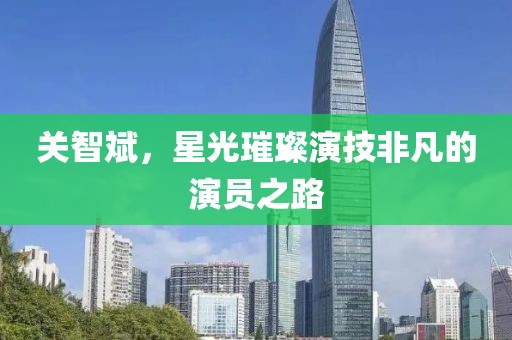 关智斌，星光璀璨演技非凡的演员之路