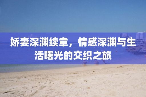娇妻深渊续章，情感深渊与生活曙光的交织之旅