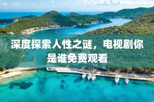 深度探索人性之谜，电视剧你是谁免费观看