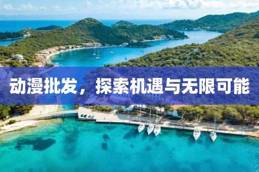 动漫批发，探索机遇与无限可能