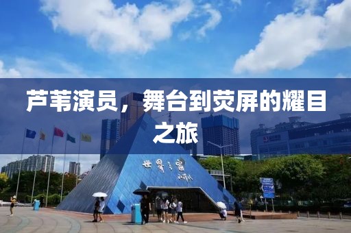 芦苇演员，舞台到荧屏的耀目之旅