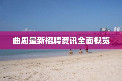 花开无言 第24页