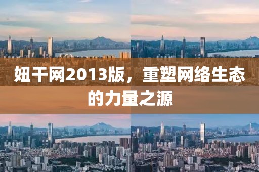 妞干网2013版，重塑网络生态的力量之源