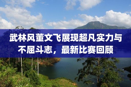 武林风董文飞展现超凡实力与不屈斗志，最新比赛回顾