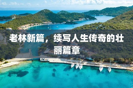 老林新篇，续写人生传奇的壮丽篇章