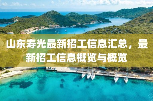 山东寿光最新招工信息汇总，最新招工信息概览与概览