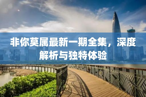 非你莫属最新一期全集，深度解析与独特体验
