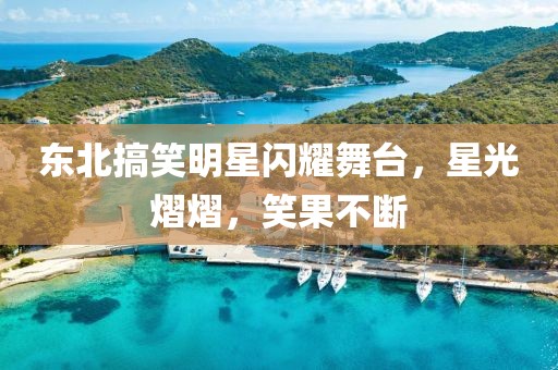 东北搞笑明星闪耀舞台，星光熠熠，笑果不断