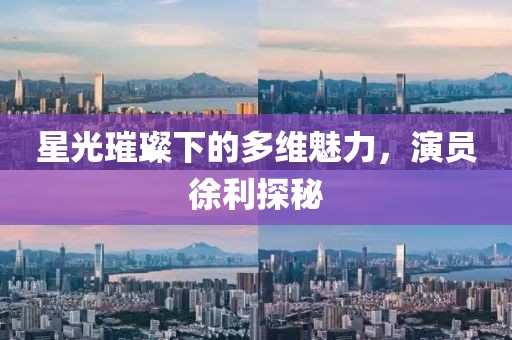 星光璀璨下的多维魅力，演员徐利探秘