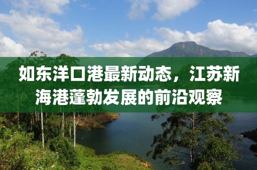 如东洋口港最新动态，江苏新海港蓬勃发展的前沿观察